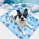 Cooling Snowflake Pet Rest Mat